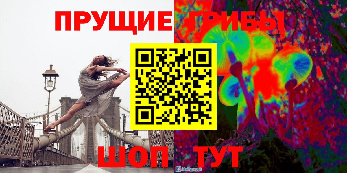 Галлюциногенные грибы GOLDEN TEACHER  Вход с VPN  Гурьевск 